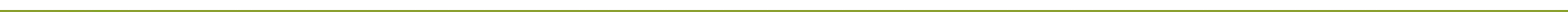 Divider Line 2