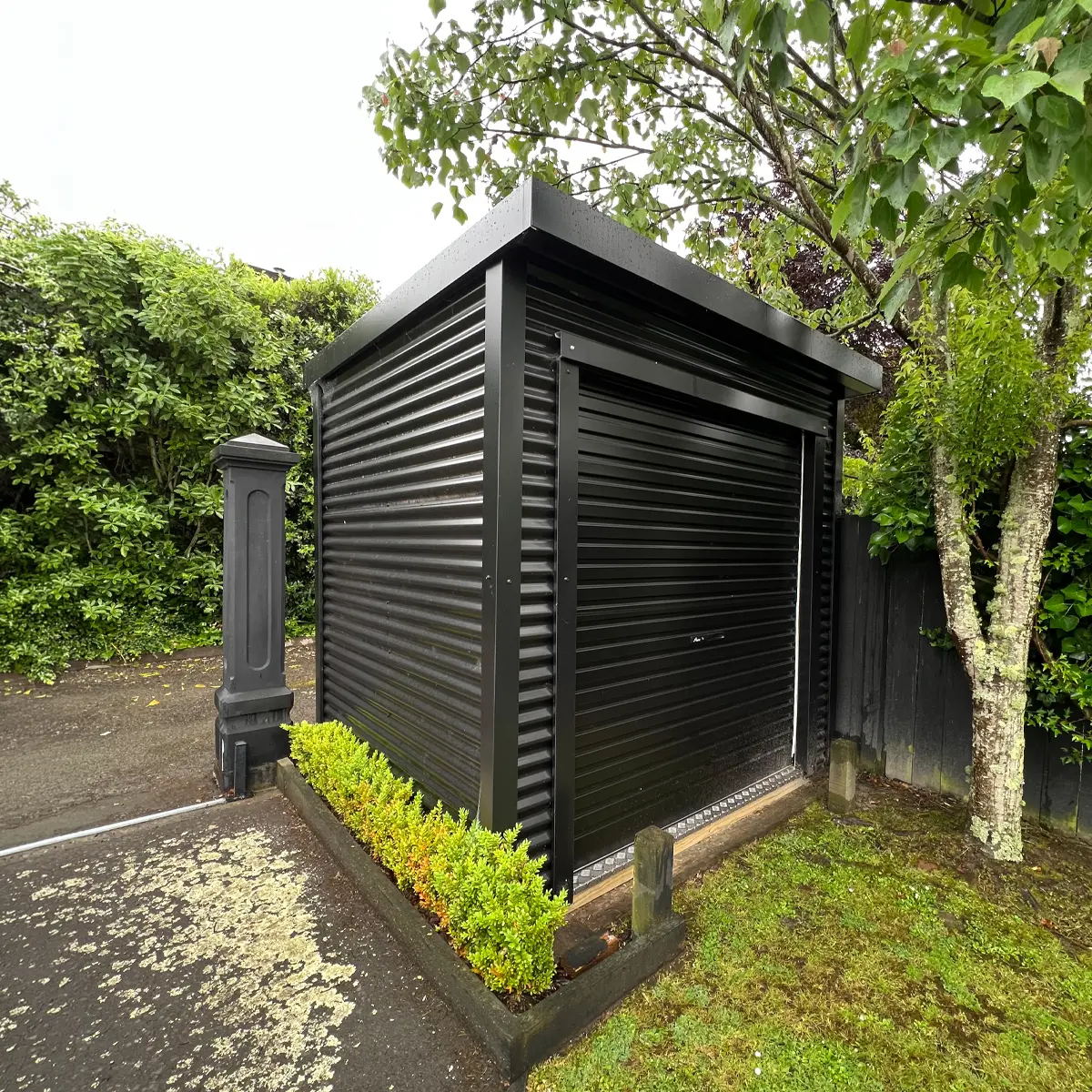 Cathy Tuthill Matakana Hokowhitu 01