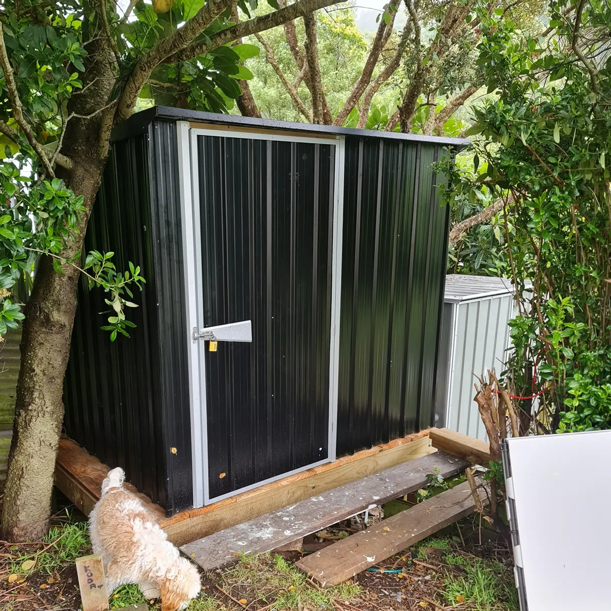 Linda Elvines  Guardian GL75 Porirua PRR