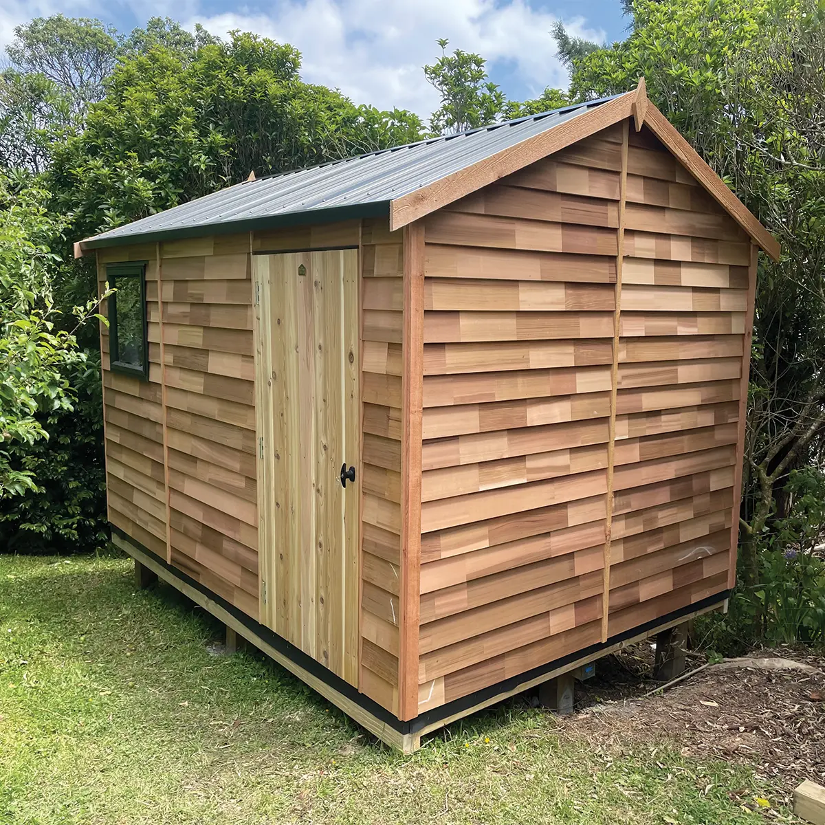 Cedar 1