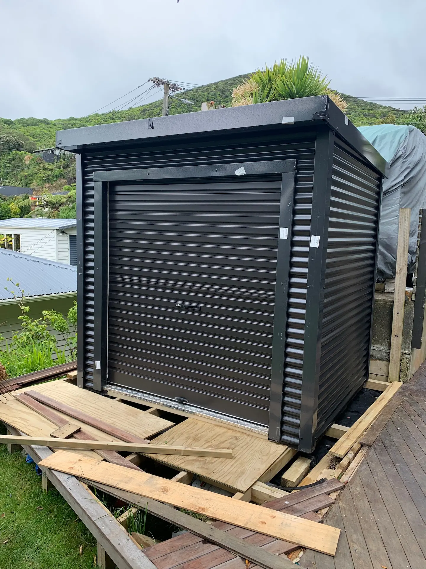 Hayden Pipe Matakana Ngaio NGA