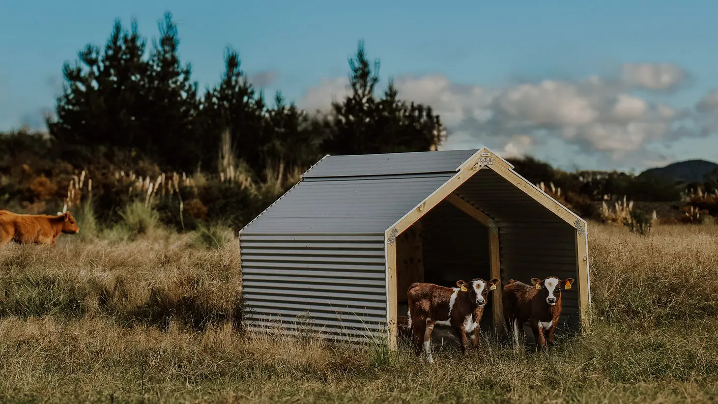 Livestock Hero Image.2