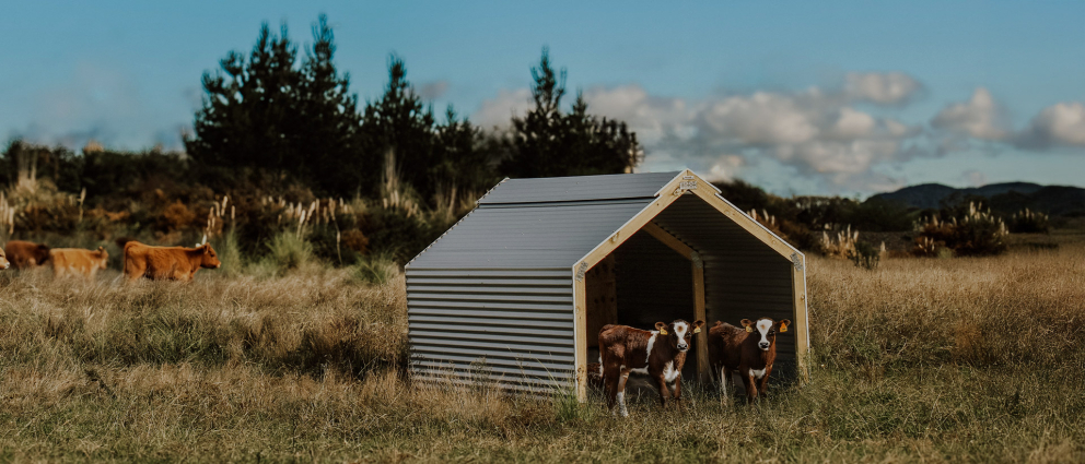 Shelter Your Stock, Wherever They Roam